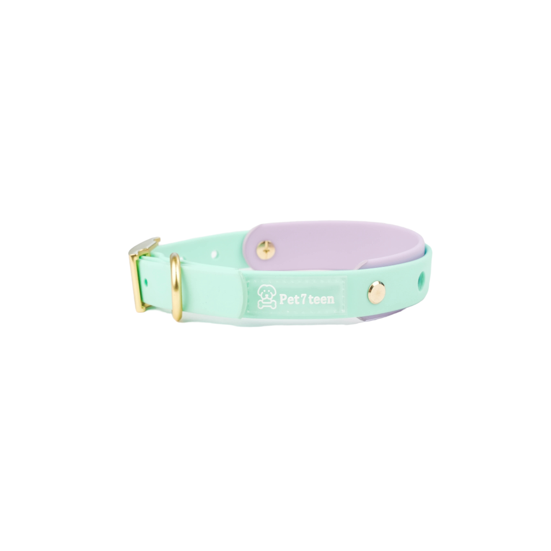 Dog collar n pastel colors, color mint and lavander, sof material, silicone, pvc, washable, ajustable, odor free, easy clean. Collar para perros en colores pasteles, color menta y lavanda, sin olores molestos, resistente al agua y facil de lavar, con hebillas doradas de buena calidad. 