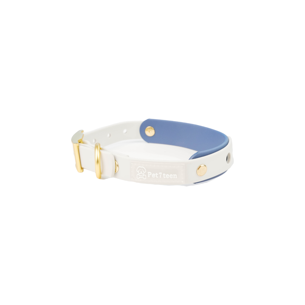 Ocean Fog waterproof silicone dog collar with gold hardware by Pet7teen. Shipping through USA.