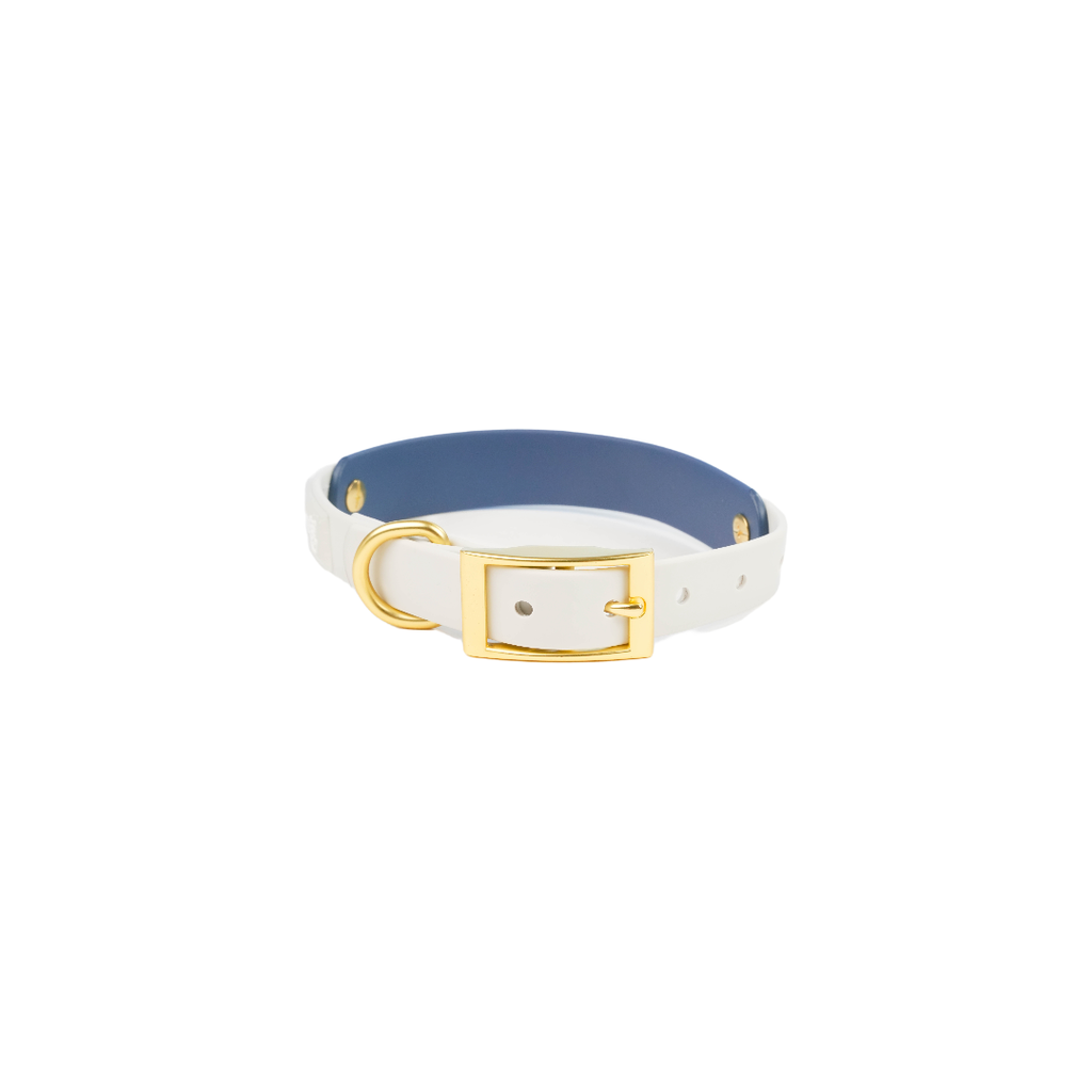 Gold-tone buckle detail on Ocean Fog Pet7teen collar. 