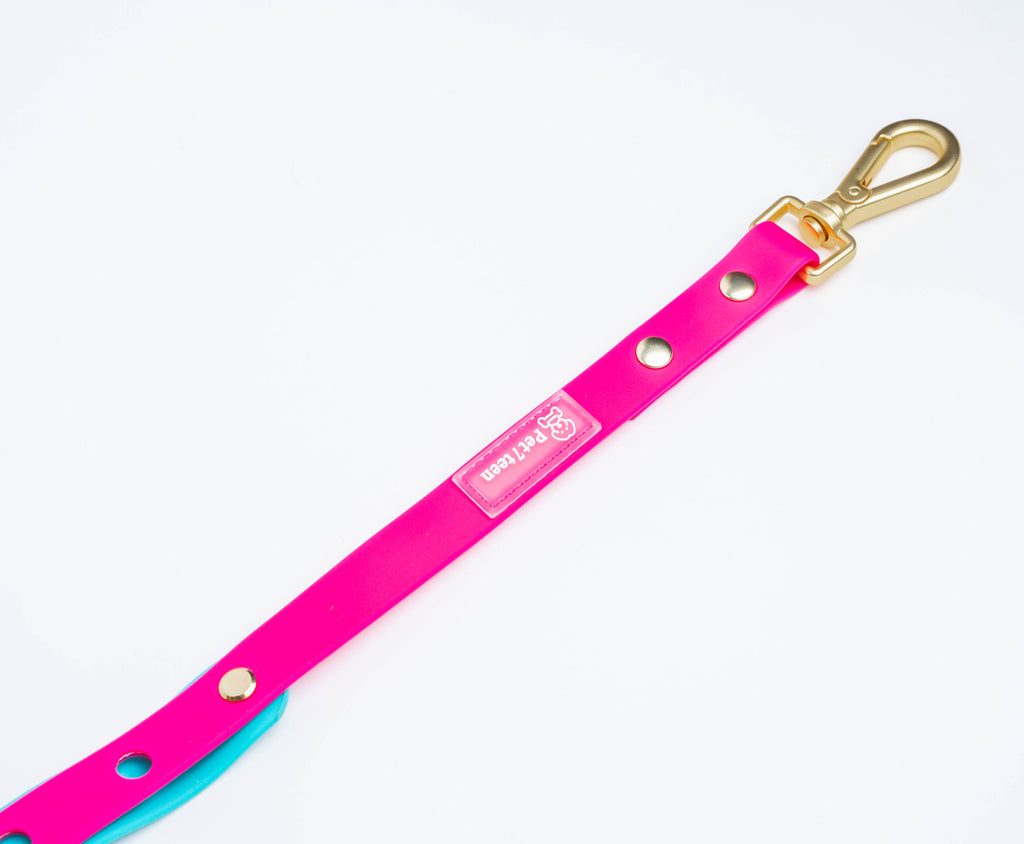 Berry Pop y Teal Splash leash for dogs. Pink and teal colorful. Dog leash to add pins or charms customizable. 