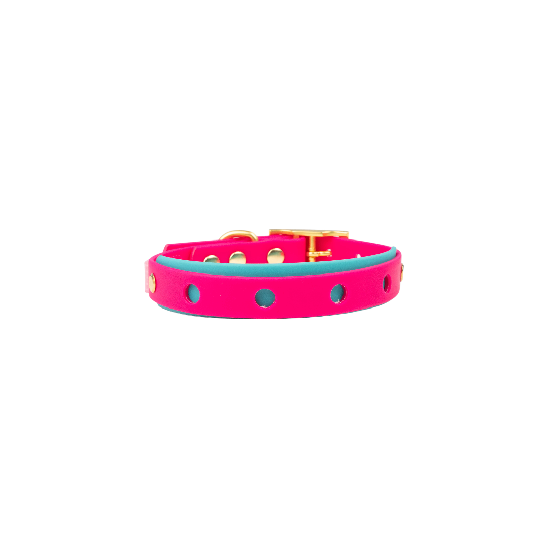 Close-up of customizable pin spaces on Pet7teen dog collar. Color pink and teal. 