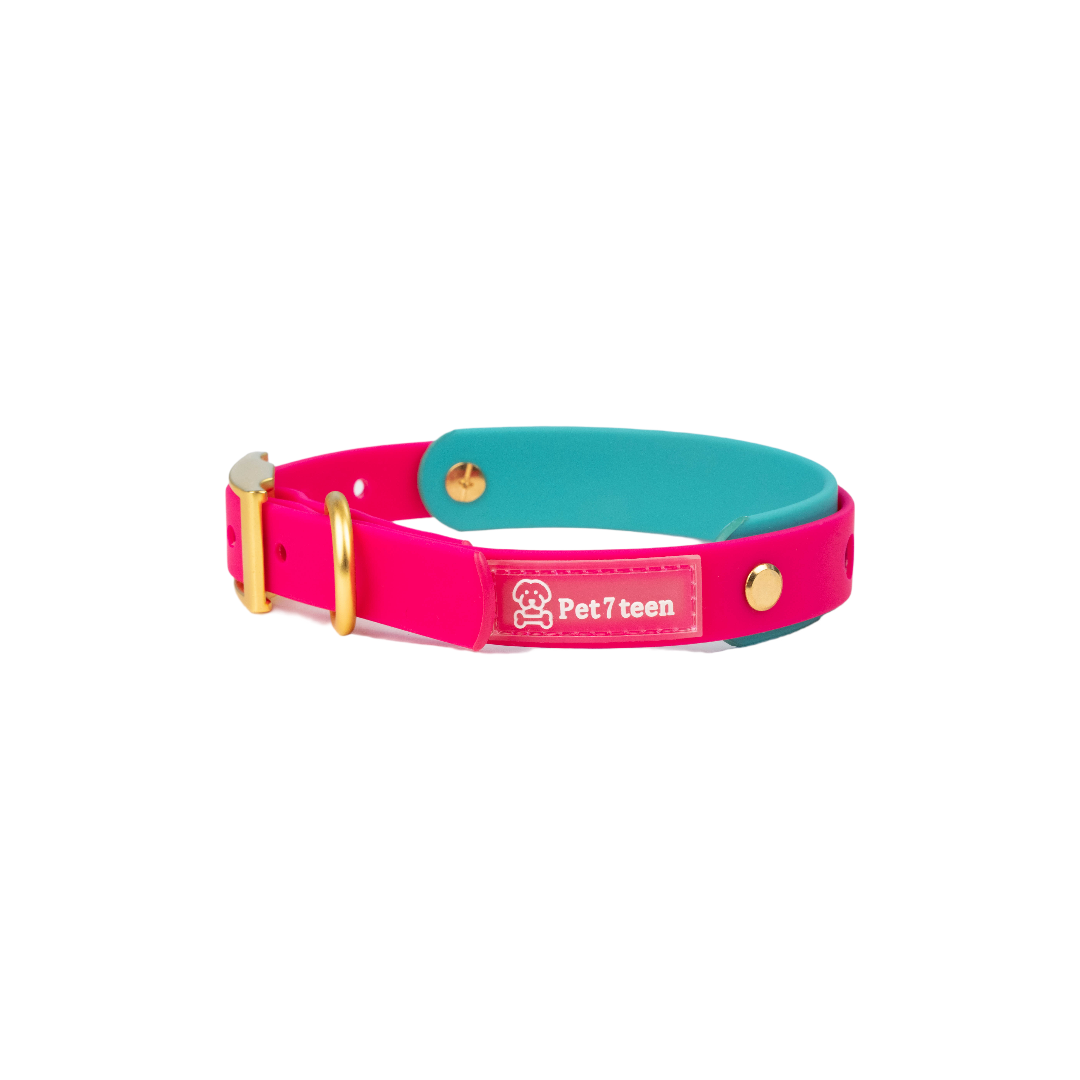 Berry Pop and Teal Splash waterproof silicone dog collar with gold hardware